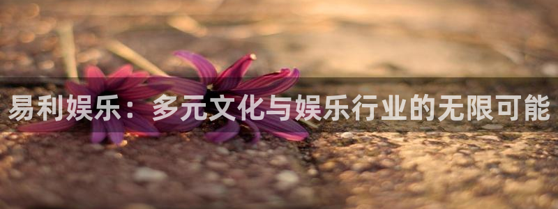 恩佐娱乐：易利娱乐：多元文化与娱乐行业的无限可能