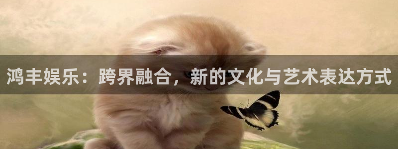 恩佐娱乐：鸿丰娱乐：跨界融合，新的文化与艺术表达方式