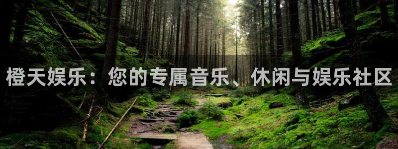 恩佐娱乐：橙天娱乐：您的专属音乐、休闲与娱乐社区