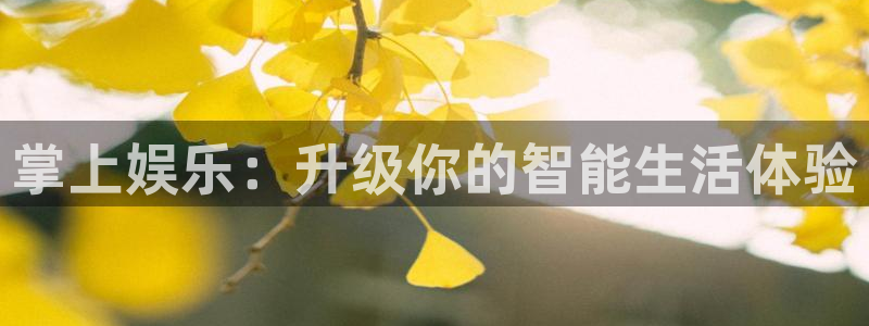 恩佐娱乐：掌上娱乐：升级你的智能生活体验