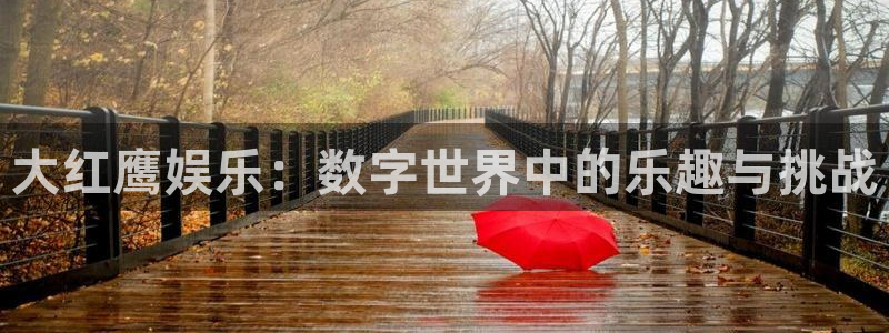 恩佐娱乐：大红鹰娱乐：数字世界中的乐趣与挑战