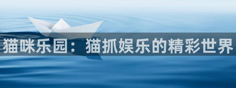 恩佐娱乐：猫咪乐园：猫抓娱乐的精彩世界