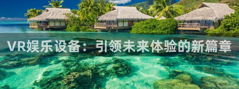 恩佐娱乐：VR娱乐设备：引领未来体验的新篇章