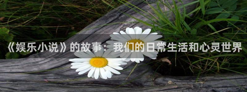 恩佐娱乐：《娱乐小说》的故事：我们的日常生活和心灵世界