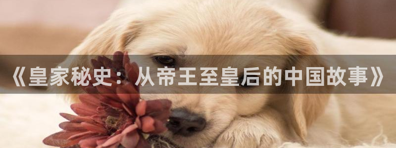 恩佐娱乐：《皇家秘史：从帝王至皇后的中国故事》