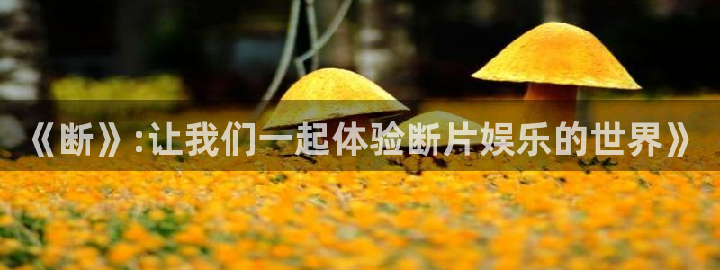 恩佐娱乐：《断》:让我们一起体验断片娱乐的世界》